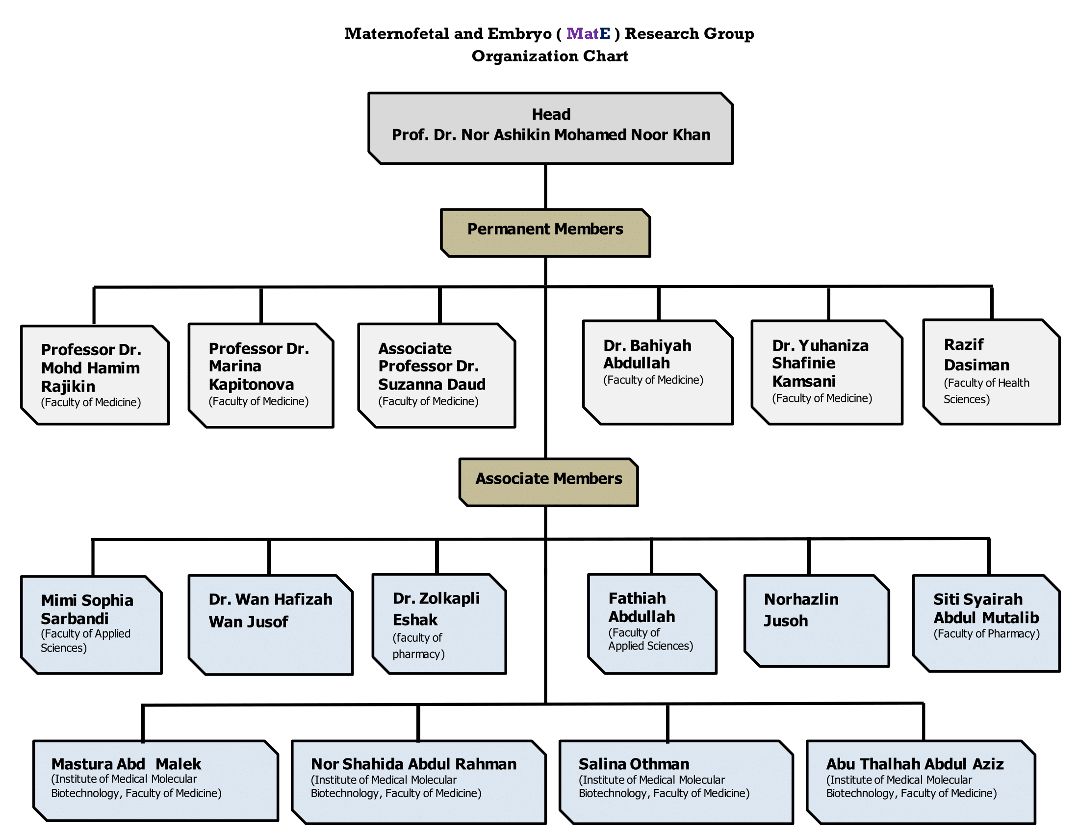 organization chart edited Copy 1